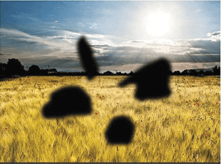 Retinopatía Diabética